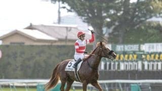 【AJCC】ダノンデサイル、コスモキュランダらが登録