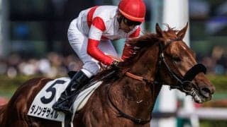 【AJCC登録馬】ダービー馬・ダノンデサイルなど21頭