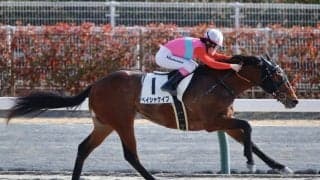 永島まなみが2025初勝利…女性ジョッキー結果