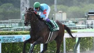 今年から引っ越し！ \"フェブラリーSの前哨戦プロキオンS\"が今週開催