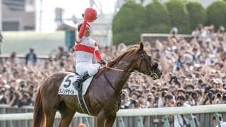 【AJCC想定騎手】ダノンデサイルは戸崎圭太騎手、レーベンスティールはC.ルメール騎手