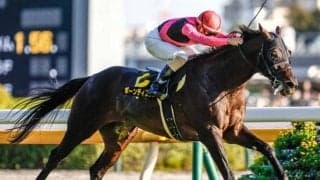 【AI予想・AJCC】前走4角でのポジショニングに明確な傾向あり！ 波乱を示唆する人工知能の本命候補