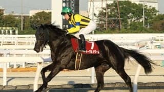 イーグルノワールが大井へ移籍