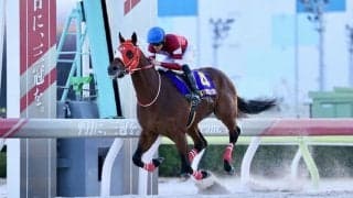 東京大賞典が世界46位…2024年世界トップ100・G1レース