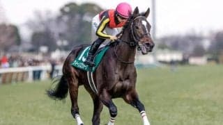 【小倉牝馬S枠順確定】クイーンズウォークは5枠9番、オーロラエックスは6枠12番
