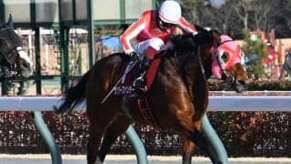 【JRA・WIN5】歴代最高の売上を更新、的中801票も配当は516万3170円