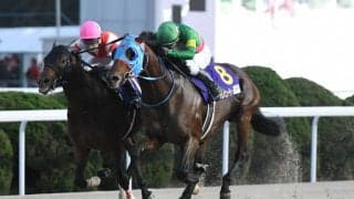 【根岸S登録馬】タガノビューティーなど23頭