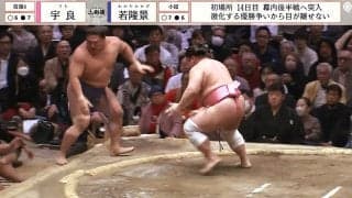 人気力士、ダメ押しに「かめはめ波？」ファンを虜にした“まさか”の瞬間「これだから好き」「最後のポーズ可愛い」