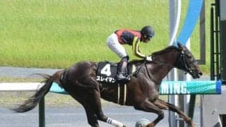 【根岸S展望】好走条件揃うスレイマンの重賞初制覇を期待
