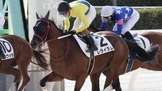 「リアルダビスタ」のレライタム デビュー11戦目で待望の初白星