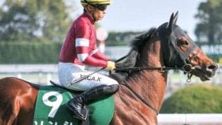 「ウマ娘」藤田晋オーナー所有の芝短距離“主役”候補 連勝で重賞初V目指す