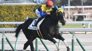 【根岸S出走馬・騎手確定】フリームファクシ＆M.デムーロ騎手、サンライズフレイム＆藤岡佑介騎手など16頭