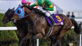 昨年悲願のタイトル獲得 ダートスプリント界の古豪が根岸S史上初の8歳馬V狙う