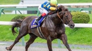 日曜の府中は雨or雪予報 道悪成績7戦5勝を誇る根岸Sの狙い馬とは