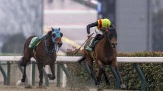 【根岸S】コスタノヴァが突き抜ける…タガノビューティーは落馬