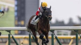 【新馬/東京5R】2億円ホース・ダノンセンチュリーがデビューV