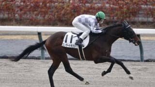 武豊騎手 今週の騎乗馬…ドウデュース半弟が2戦目