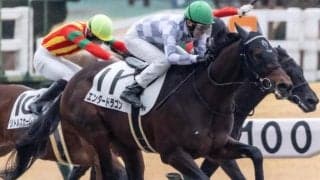 偉大な兄に続けるか ドウデュースの半弟が2戦目で初勝利を狙う
