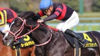 矢作厩舎期待の4.1億円馬 小倉日経賞で連勝果たし大舞台へ羽ばたけるか