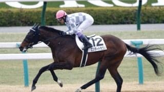 【京都3R】ドウデュース半弟・エンダードラゴン6馬身差圧勝！待望の初勝利