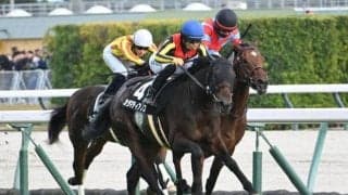 【共同通信杯】カラマティアノス、ネブラディスクらが登録