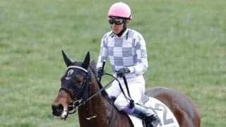 【京都3R】武豊「能力は高い」ドウデュース半弟・エンダードラゴンが初勝利