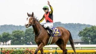 【京都記念枠順確定】チェルヴィニアは5枠6番、ソールオリエンスは4枠4番