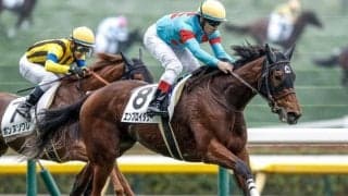 【クイーンC枠順確定】エンブロイダリーは5枠7番、マディソンガールは7枠11番