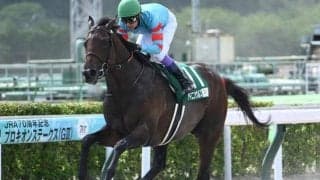 【小倉大賞典想定馬・騎手】ヤマニンウルス、エアファンディタなど15頭