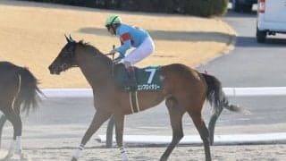 【クイーンC】ルメール「上のレベルにいける」エンブロイダリーが重賞初制覇