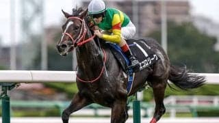 【カタール・ドゥハーンスプリント】日本のエコロジークは9着 英国勢が上位独占