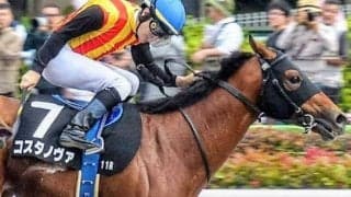 木村哲也調教師がダートGI初制覇へ 東京ダートは勝率100％の管理馬でフェブラリーSに挑戦