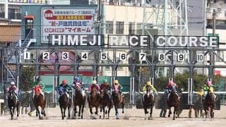 【姫路・兵庫ユースC結果】エイシンハリアーが重賞初制覇