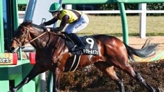 フェブラリーS連覇カフェファラオの全弟 兄が輝いた「東京ダ1600m」でリステッドV狙う