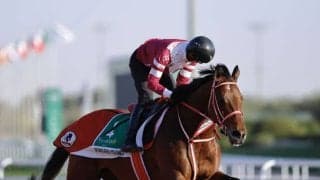 【サウジカップ】矢作師「とても良い状態」…フォーエバーヤングなど日本馬4頭が出走