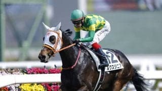 【阪神5R】キズナ産駒 ルクスジニアが人気に応える