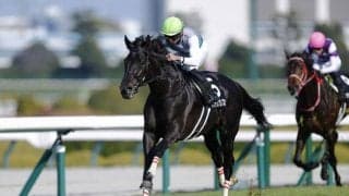【阪神リニューアル記念】ハヤテノフクノスケが5馬身差圧勝