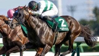 【AI予想・中山記念】多くの名馬が勝ち馬に名を連ねる伝統の一戦！ 人工知能は活気十分のベテランに期待