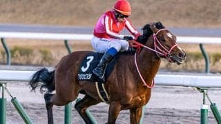 【ドバイ・スーパーサタデー結果】アメリカンステージは2着、テーオーサンドニは14着