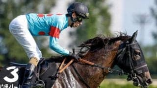 【中山牝馬S】シンティレーション、ビヨンドザヴァレーらが登録