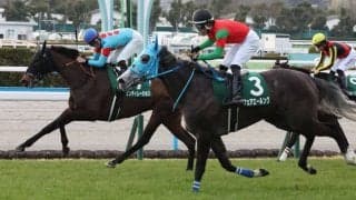 【中山牝馬S登録馬】シンティレーションなど16頭