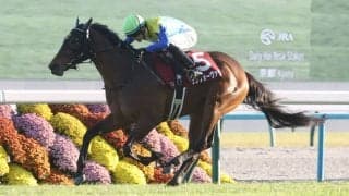 【フィリーズレビュー登録馬】ランフォーヴァウなど23頭