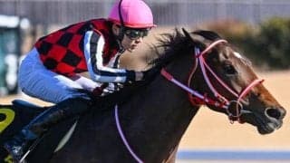 JRA重賞の史上最高額勝ち馬になるか 矢作厩舎の3.2億円馬が弥生賞に参戦
