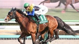 【オーシャンS】川田「やっとこの馬らしく動くことが出来た」ママコチャが久々重賞V