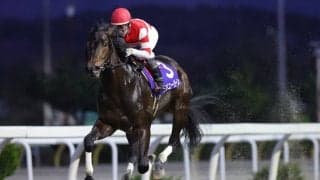 【岩手競馬】春を告げる3歳重賞・スプリングカップ見どころ