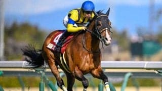 スプリングS、金鯱賞など3重賞/今週の競馬界の見どころ