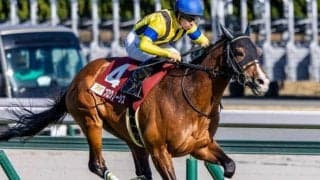 グレード制導入以降の41回で40勝 圧倒的優勢の関西勢が金鯱賞10連覇を狙う