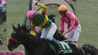 【阪神SJ枠順確定】エコロデュエルは6枠6番、ネビーイームは3枠3番