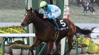 【フラワーC想定馬・騎手】パラディレーヌ、ジョスランなど16頭