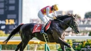 【阪神SJ予想】中山グランドジャンプの前哨戦 上位進出には先行力が不可欠